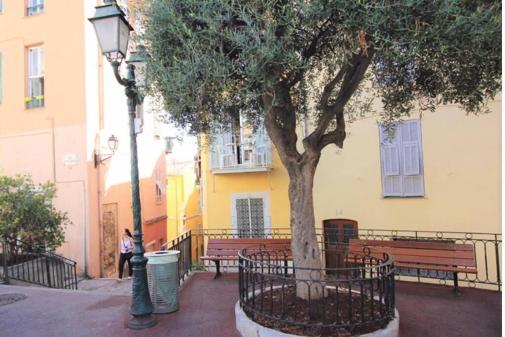 Charming Apartment Near The Beach Villefranche-sur-Mer Eksteriør billede